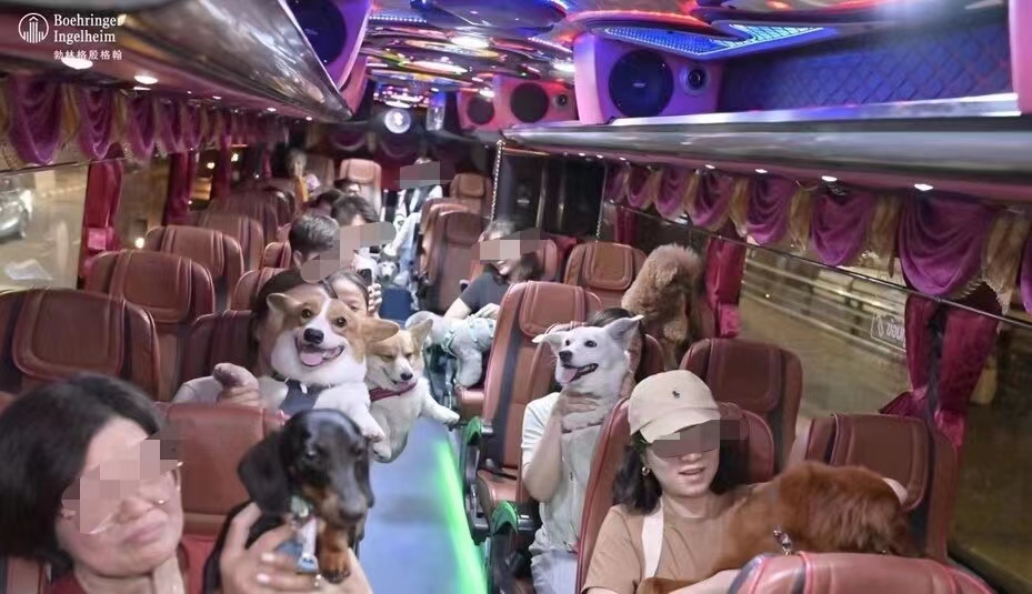 首批爱狗中国游客包机赴泰旅游